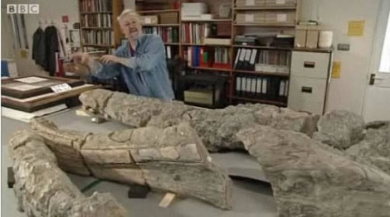 Descubren el cráneo de un monstruo marino "colosal" de hace 150 millones de años