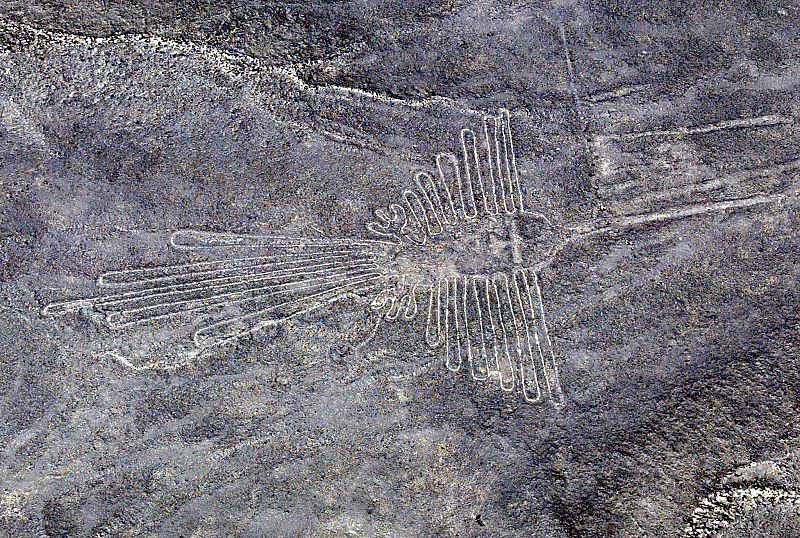 La tala masiva para dibujar las Líneas de Nazca cambió el clima y acabó con una civilización