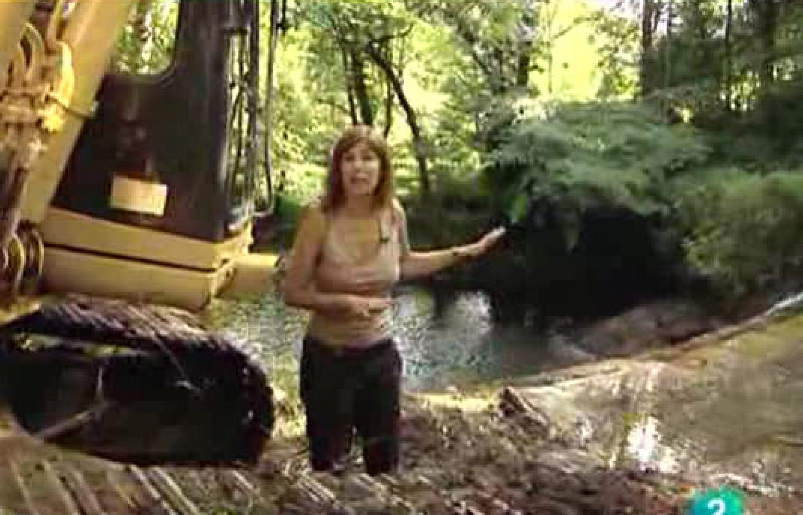 El escarabajo verde - Ríos sin barreras