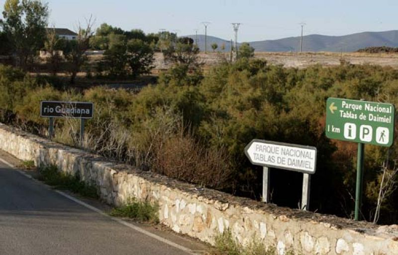 Réquiem por las Tablas de Daimiel
