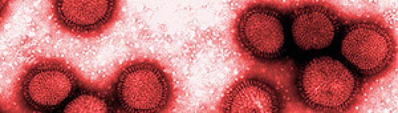 Una mutación del virus de la gripe A causa dos muertes en Francia
