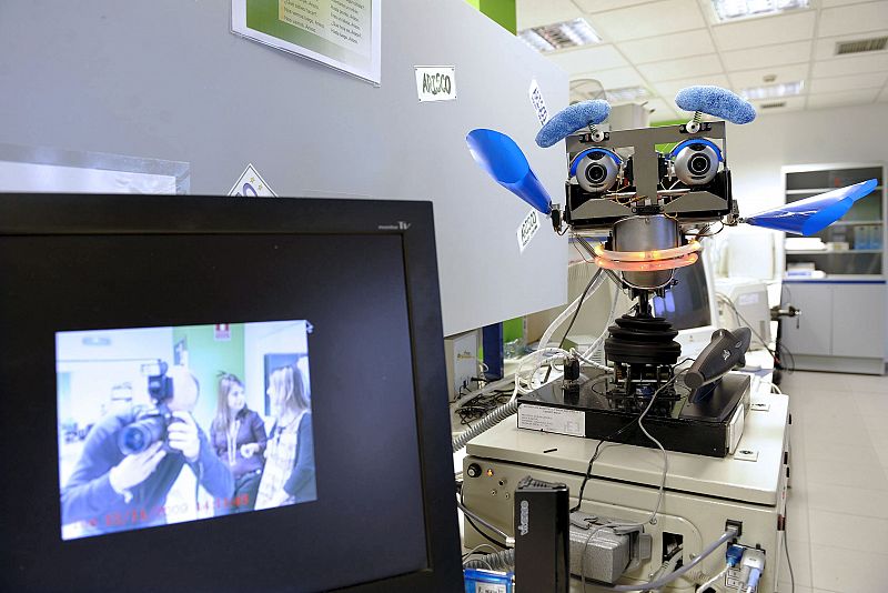 Diseñan un robot que trabajará como recepcionista en los hoteles