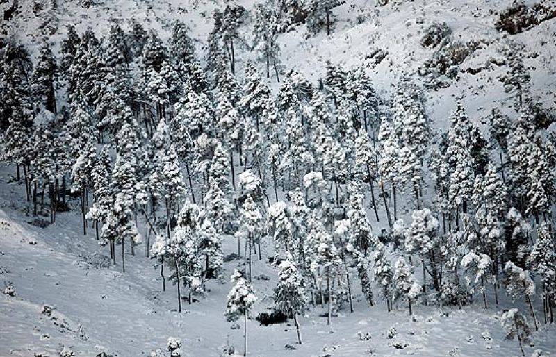 Un nuevo temporal pone en alerta por nieve, frío y lluvia a 12 comunidades autónomas