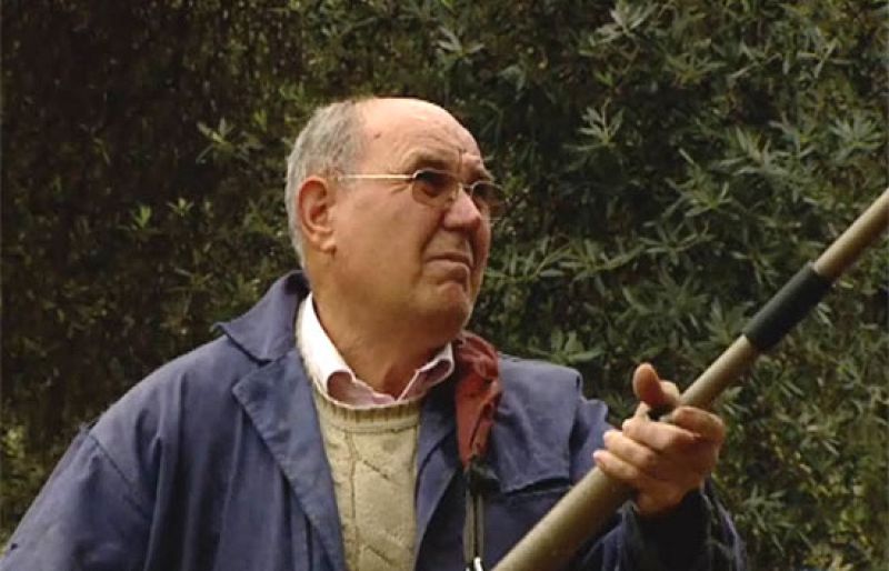 El Gobierno propondrá ampliar la edad de jubilación hasta los 67 años