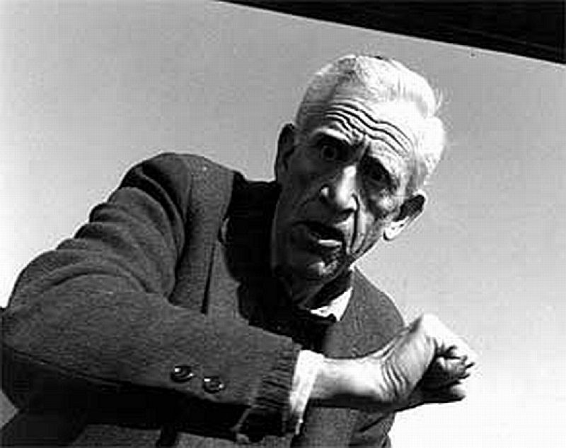 Salinger: el maestro escondido