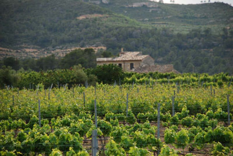 Agricultura biodinámica en el Priorato (Paisajes y sabores)