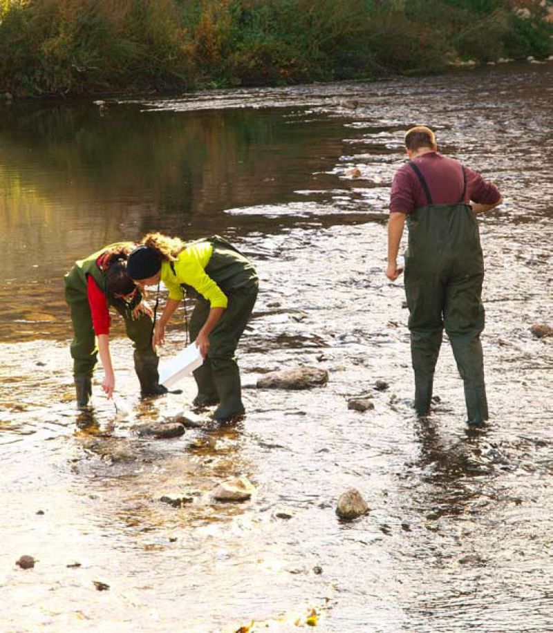 Más de 120 toneladas de basura, recogidas de los ríos en 2009 por voluntarios