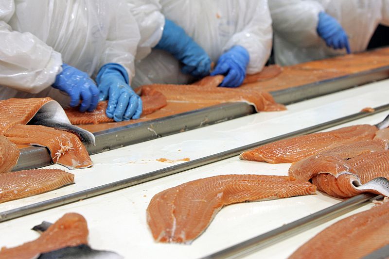 La anemia del salmón chileno dispara los precios