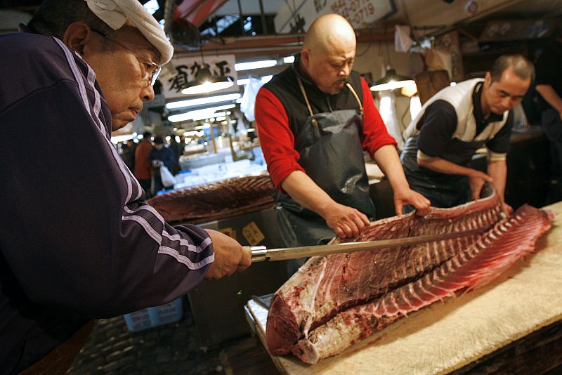 España acepta la propuesta de Bruselas para prohibir el comercio de atún rojo a partir de 2011