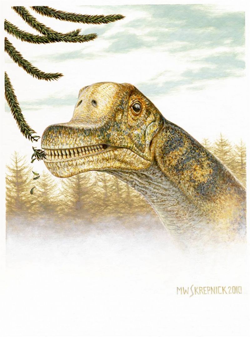 La cabeza de dinosaurio más rara del mundo