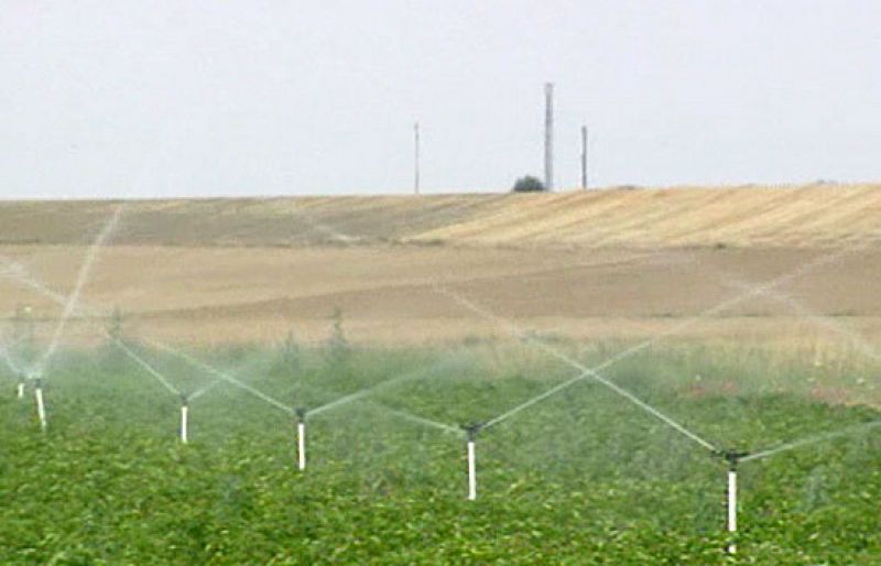 La Comisión Europea autoriza el cultivo de transgénicos por primera vez en 12 años