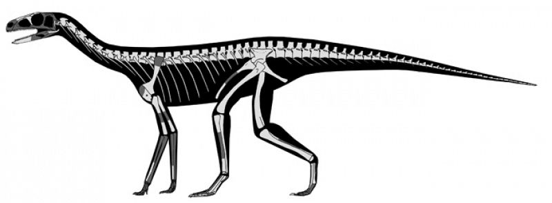 El 'tatarabuelo' de los dinosaurios vivió 10 millones de años antes que ellos
