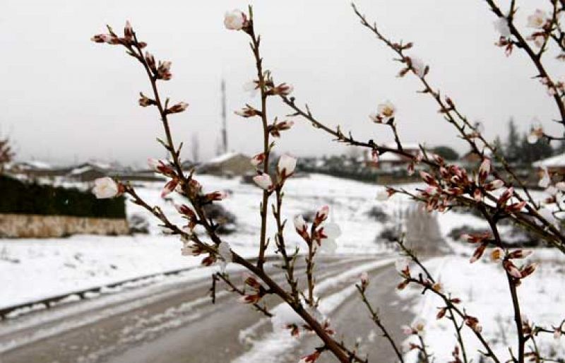 Nieve, lluvia y viento ponen en alerta a una treintena de provincias