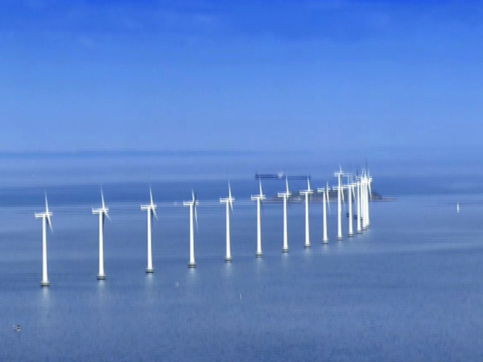 El escarabajo verde (08/04/10): Contra viento y marea