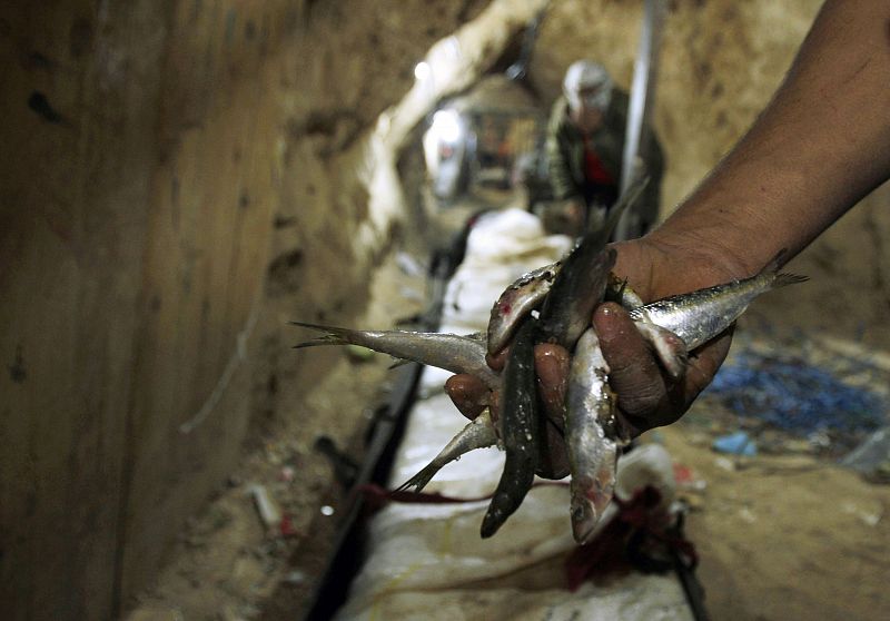 Hamás reabre el tráfico en los túneles entre Gaza y Egipto