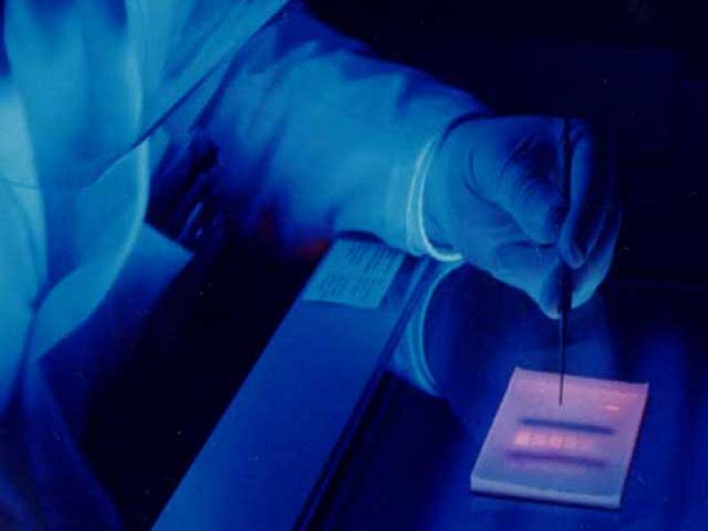 La Policía Científica resuelve casi 2.500 casos gracias al ADN