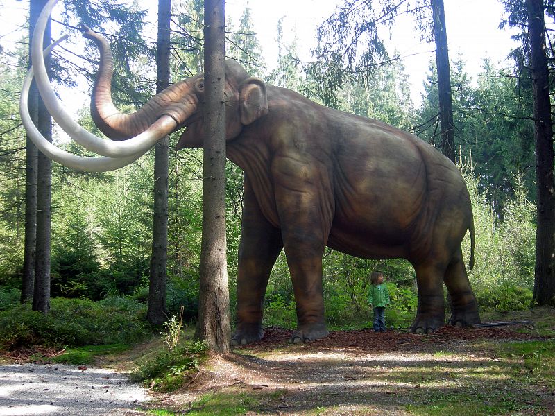 Los mamuts tenían "anticongelante" en su sangre