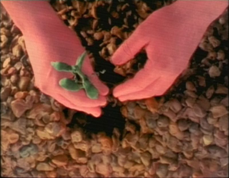 La voz de los niños