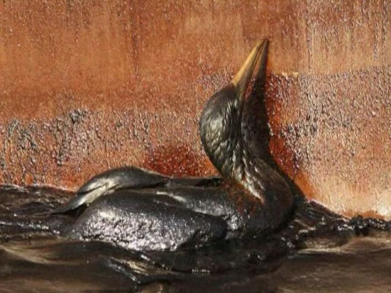 El vertido de petróleo del Golfo de México, el doble que el del Prestige