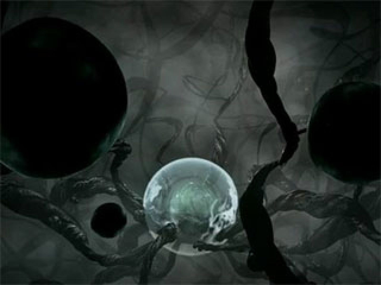 Sónar 2010 - Wooky | Ver