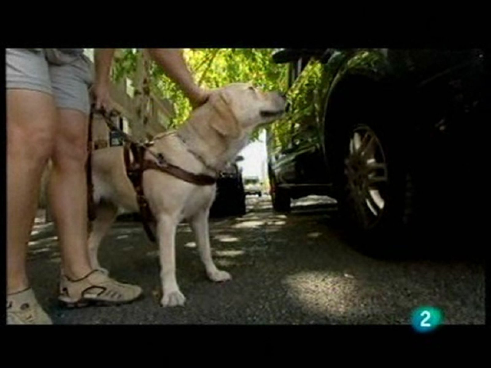 El mundo se mueve contigo - Programa 11 - El mundo se mueve contigo | Ver