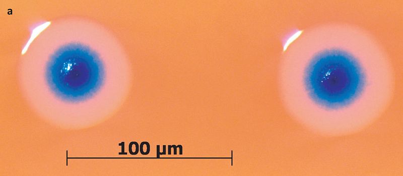 La célula de Craig Venter: un logro, pero ¿un hito?