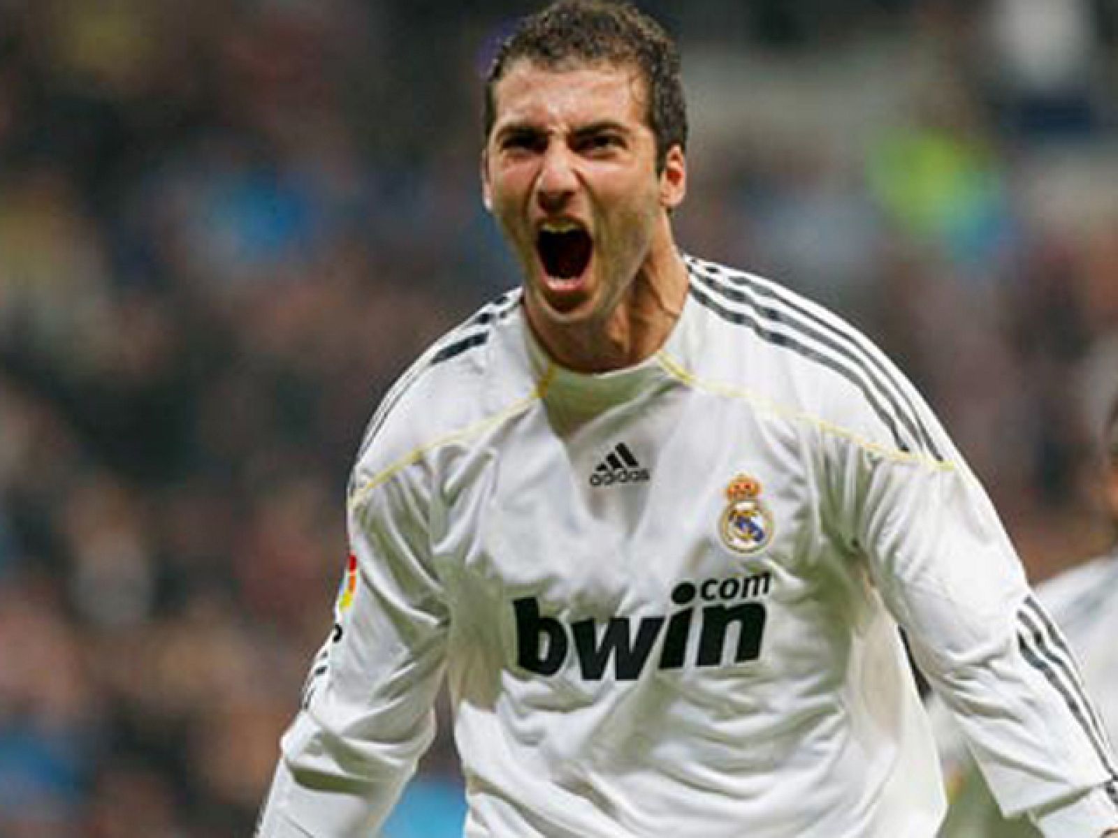 El 'Pipita' renueva | Ver