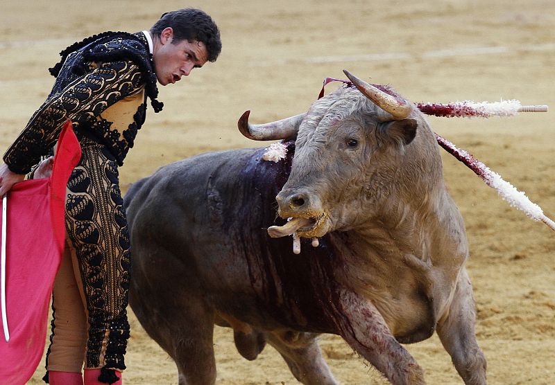 Dos diputadas francesas presentarán una propuesta de ley para prohibir los toros en el país