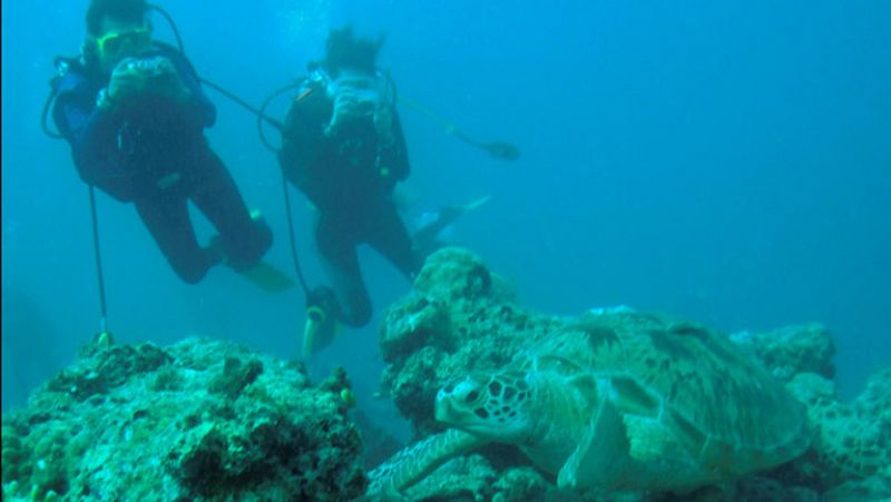 Jacques Cousteau, el hombre que nos descubrió los océanos