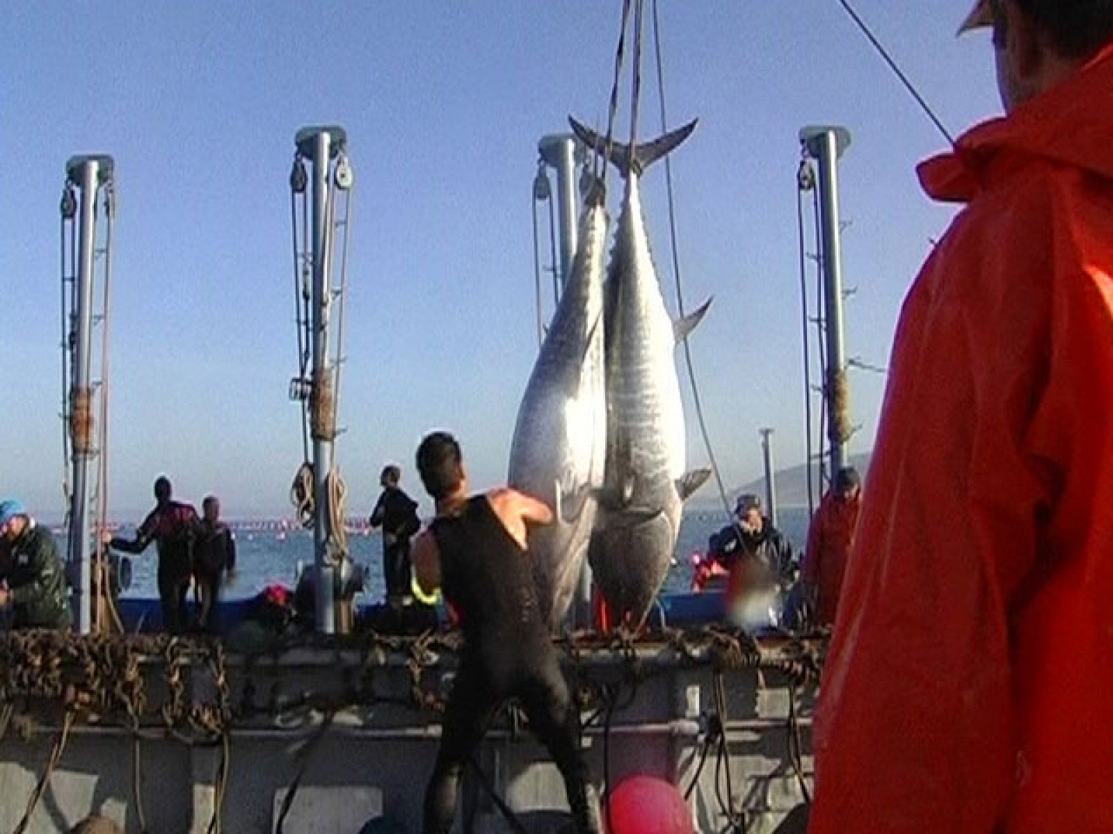 Comando Actualidad - De lo bueno lo mejor | Ver