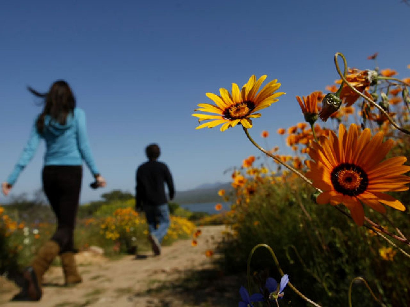 Las lluvias abandonan España y dejan paso al buen tiempo para el fin de semana