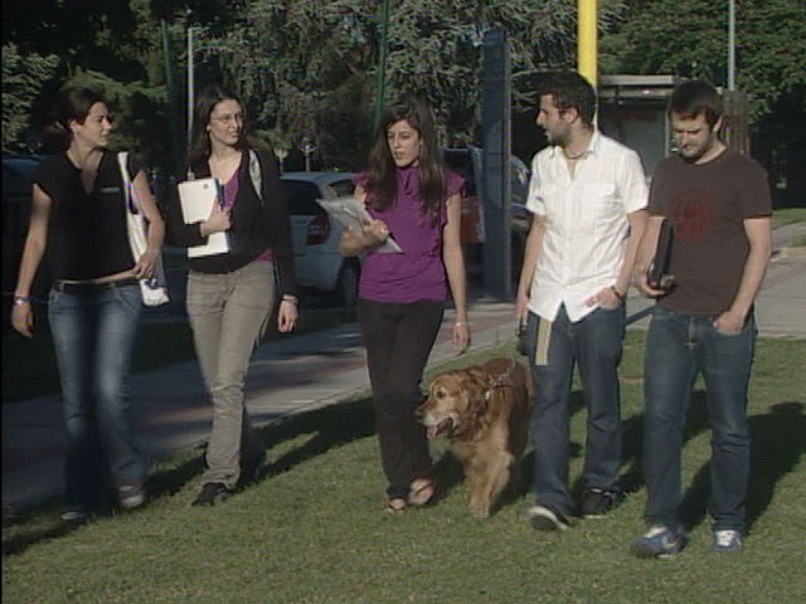 España es el país europeo que ha recibido un mayor número de estudiantes Erasmus el último curso | Ver