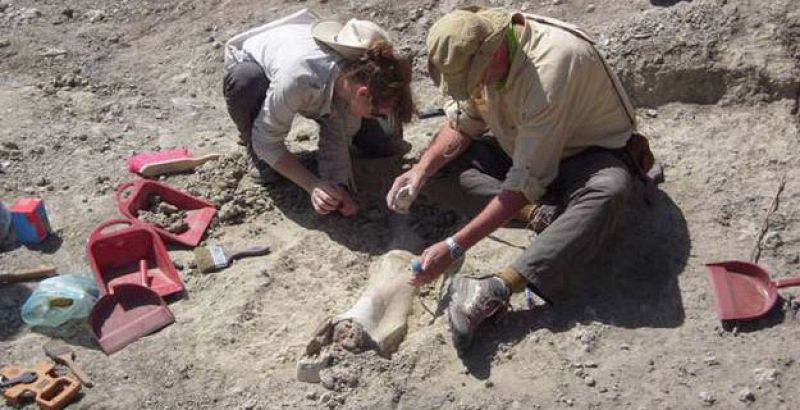 Arqueólogos españoles hallan fósiles que pueden cambiar la historia de la evolución del ser humano