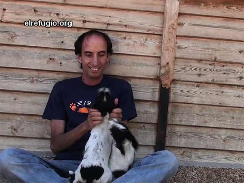 Más de 100.000 perros abandonados buscan hogar