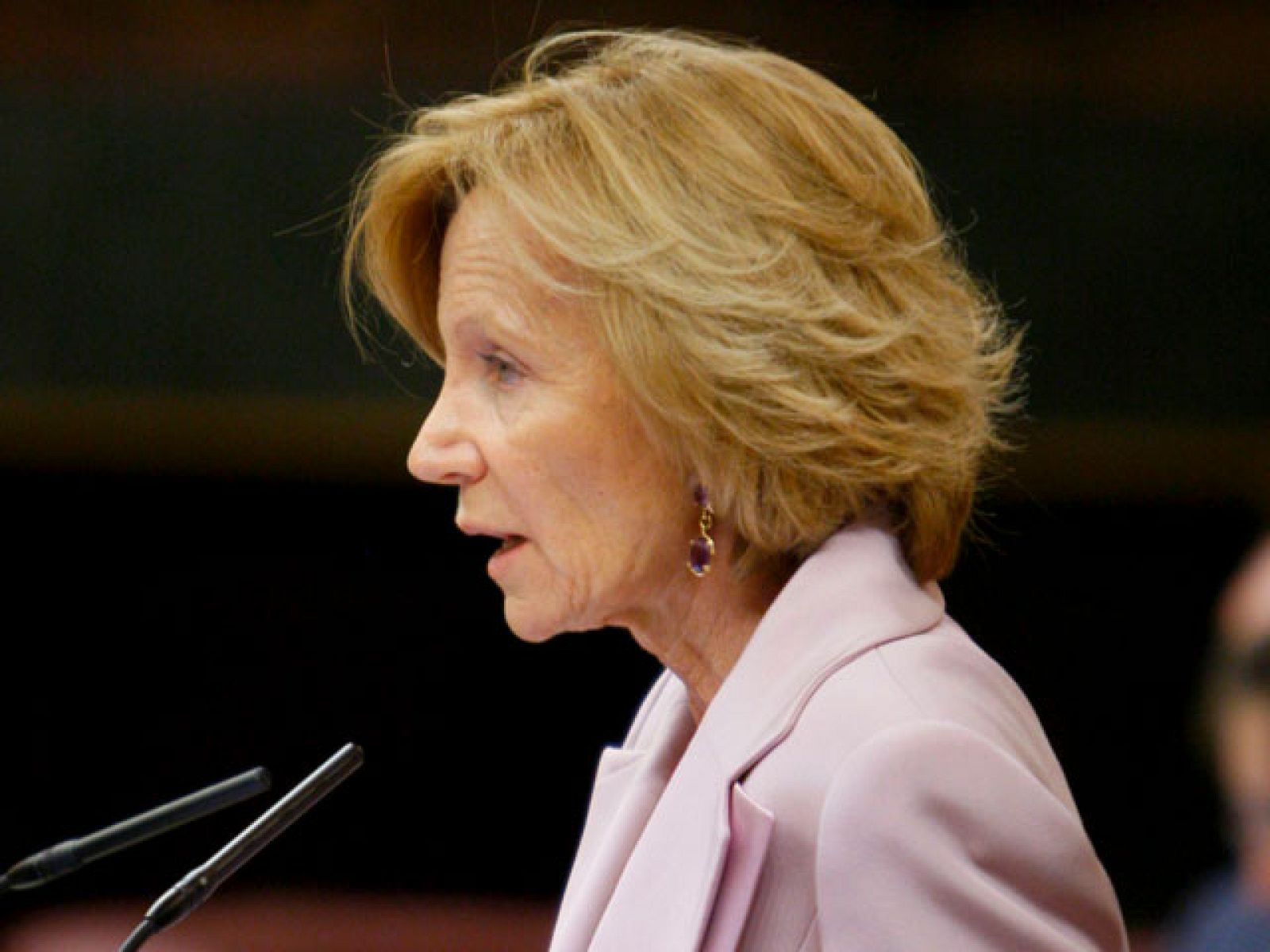 Elena Salgado: "A partir de este año 2010 el perfil de recuperación está ganando fortaleza" | Ver