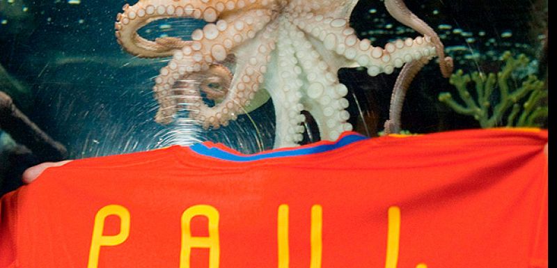 El pulpo Paul, protagonista de un 'thriller' chino