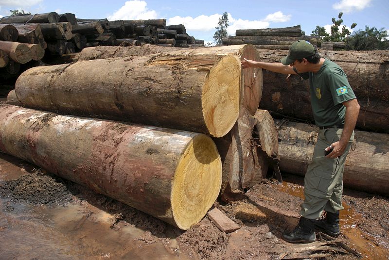 La OMC aboga por la cooperación internacional para mejorar el comercio de materias primas