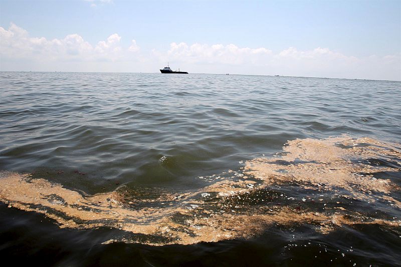 La Guardia Costera permitió a BP usar un exceso de químicos tóxicos para neutralizar el vertido