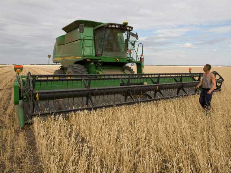 Rusia suspende la exportación de cereales hasta finales de año por la sequía