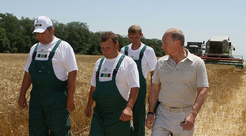Fitch cree que el alza del precio del trigo en Rusia puede afectar a las empresas de alimentación
