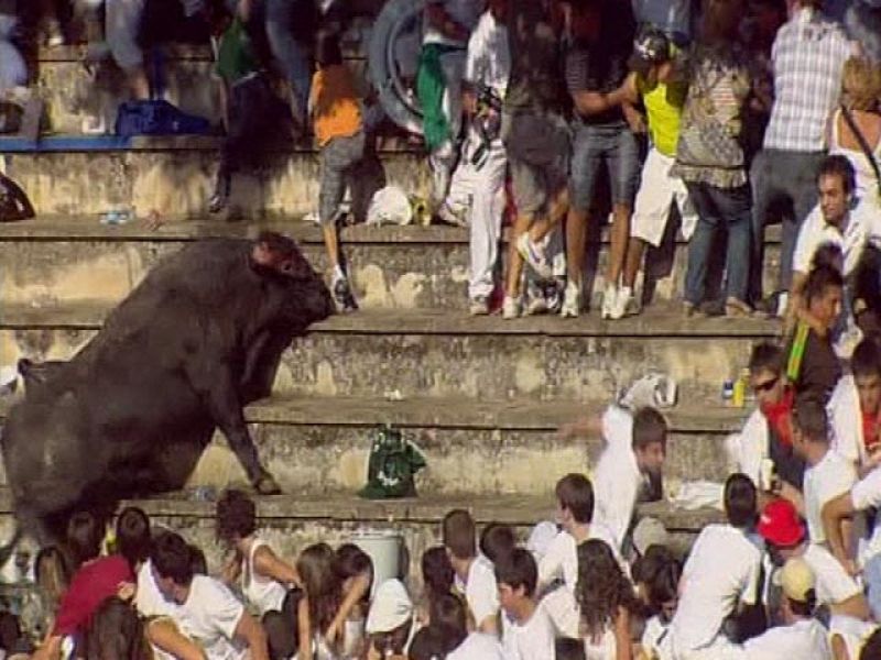 Un toro salta a la grada en la navarra plaza de Tafalla y hiere a 40 personas