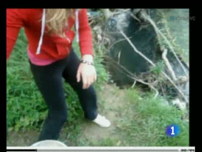 La Red, a la caza de la joven que lanza cachorros a un río en un vídeo