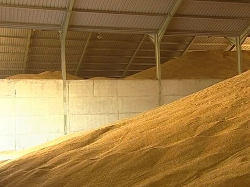 El alza del trigo sacude los mercados