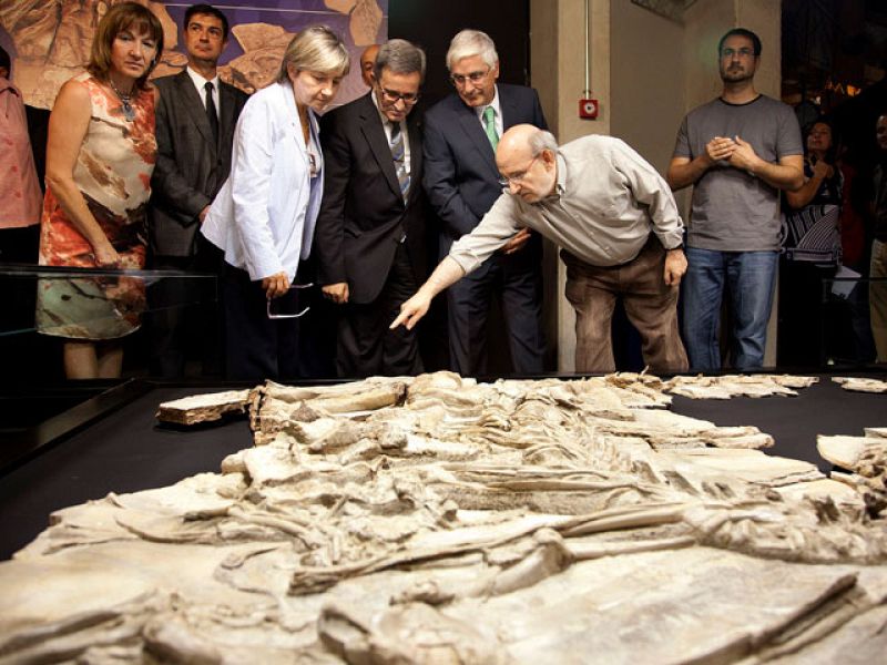 El dinosaurio jorobado de Cuenca