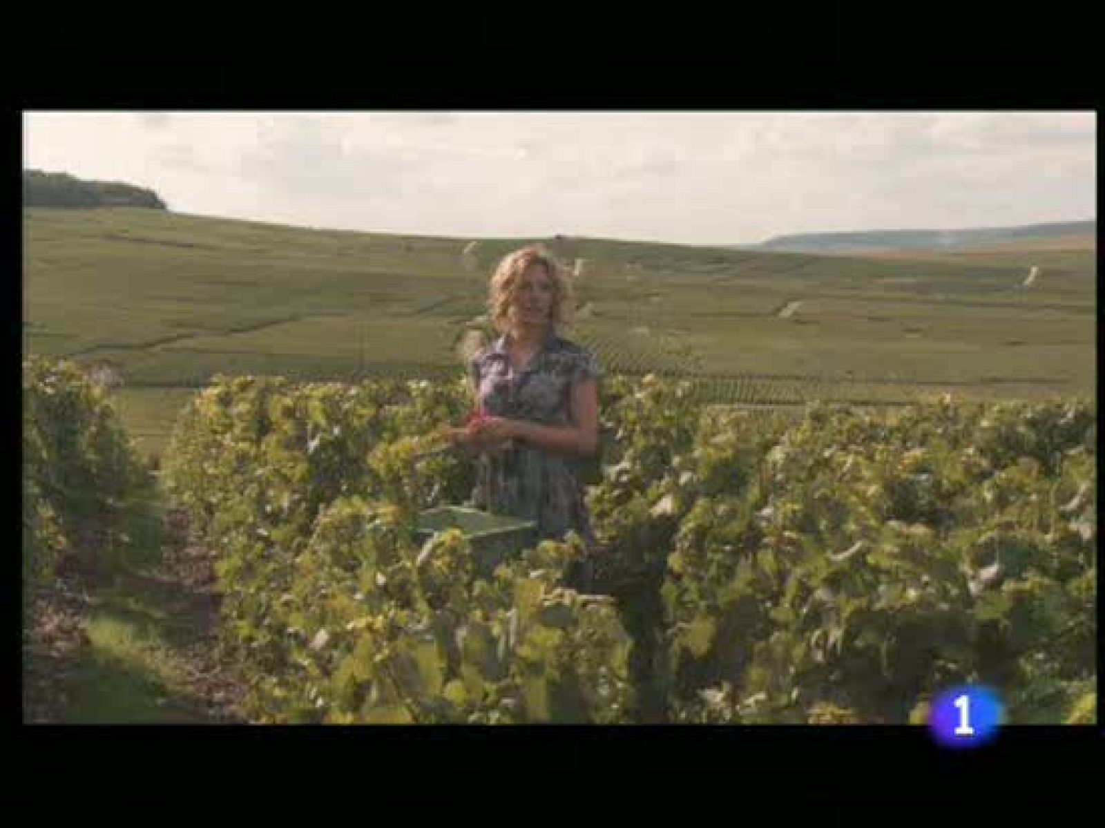 Corazón - Scarlett Johansson vendimia para la prestigiosa casa de champán francés - D Corazón | Ver