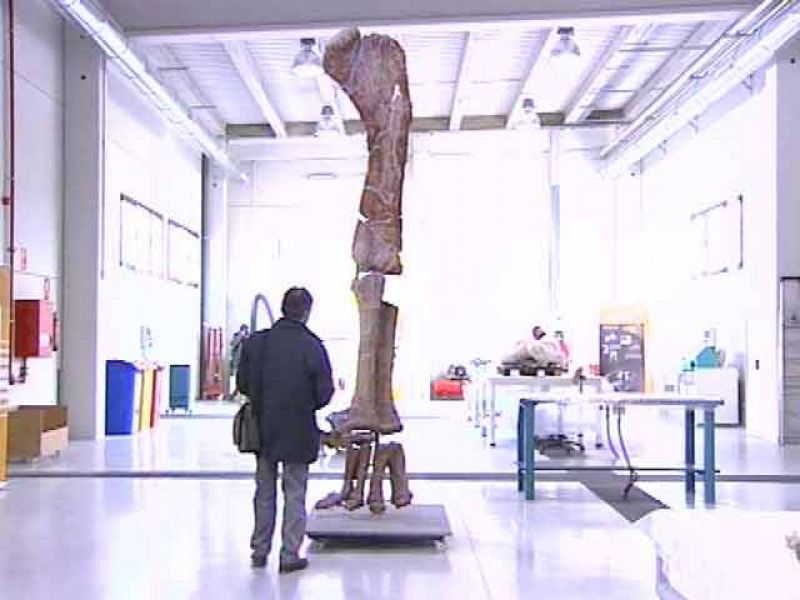 Descubren el fémur de dinosaurio más grande de Europa en Teruel