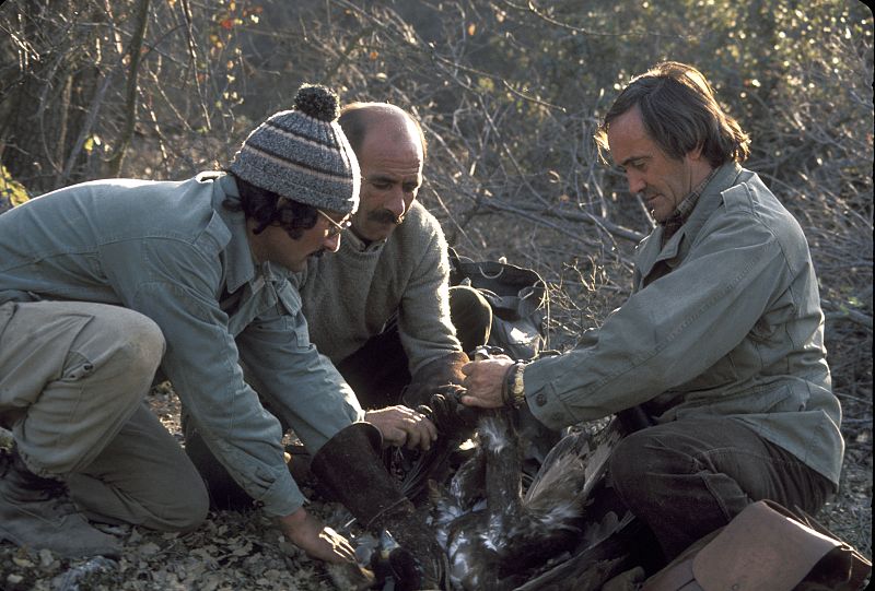 Félix Rodríguez de la Fuente, 'colegiado de honor' a título póstumo en Badajoz