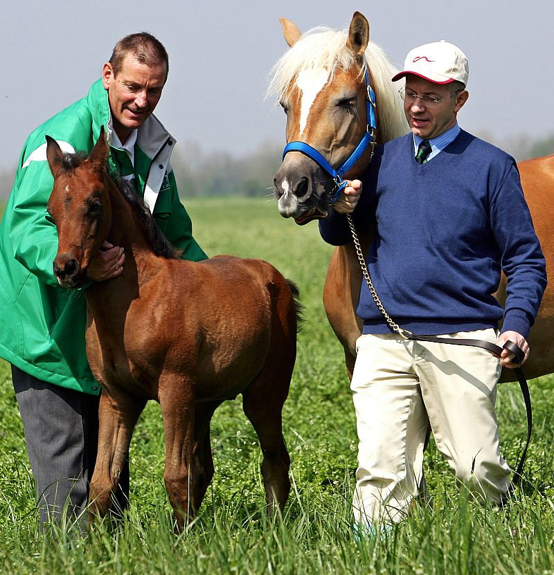 La UE propone vetar la clonación de animales para obtener alimentos