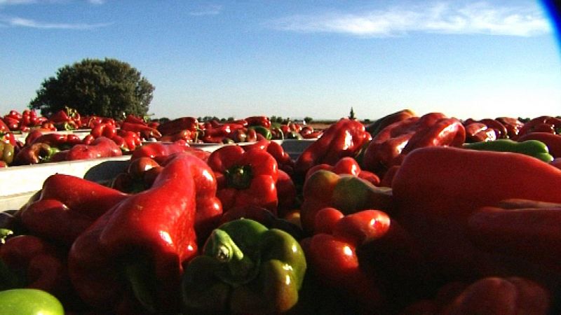 Lo que vale un pimiento