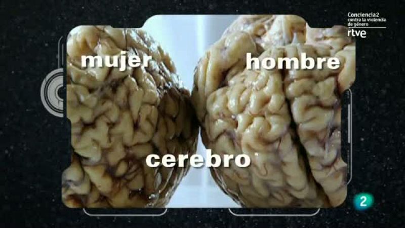 de hombres y mujeres / tres14